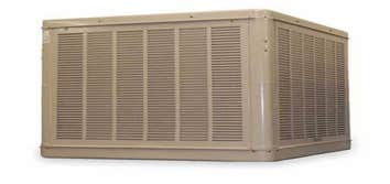Cooler Maintenance