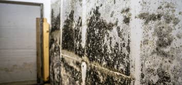 Photos by Beavers Mold Inspections #1