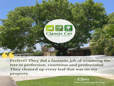 Tree Trimming in Delray Beach, FL