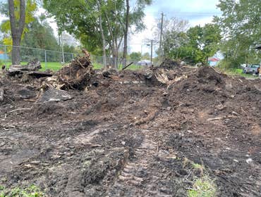 Lot clearing