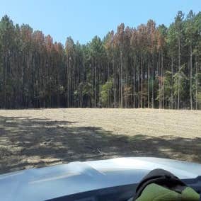 Lacaze Land Development