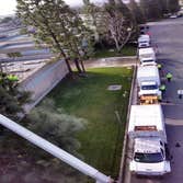 Tree Pros Inc