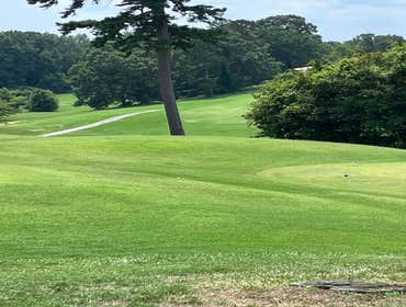 Photos by Hernandez ASSOC. Landscaping
