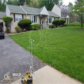O2 Mold Testing of Reston