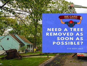 We Care Tree Services Looking for complete tree service. From tree removal to land clearing – We Care Tree Service can handle all of your tree service 