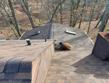 Photos by Mjolnir Construction and Roofing LLC #1