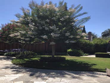 Landscaping Projects