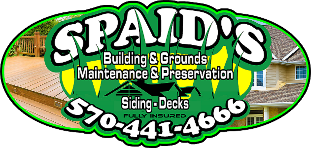 Spaids logo