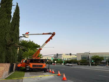 Photos by A+ Ramirez Tree Service #15
