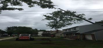 Photo(s) from Treeworkz, LLC