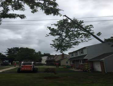 Photo(s) from Treeworkz, LLC