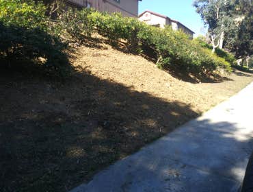 Photos by South Coast Stump Removal