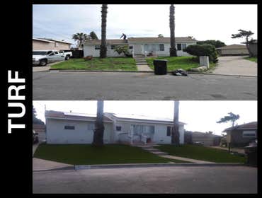 ARTIFICIAL TURF