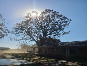 Photos by Navarro Tree Service Inc #13