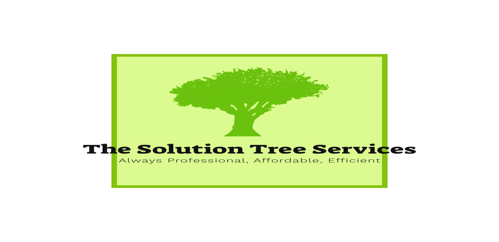 Photos by the Solution Tree Service #1