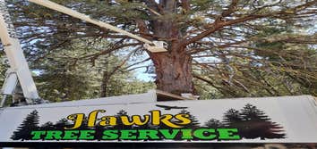 Hawks Tree Services LLC