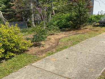 Photos by Sg Gonzalez Landscaping & Maintenance LLC #1
