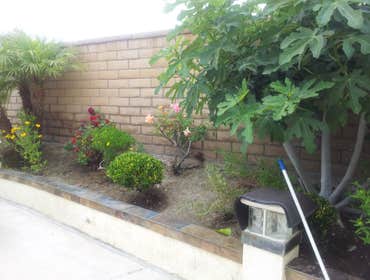 retaining wall