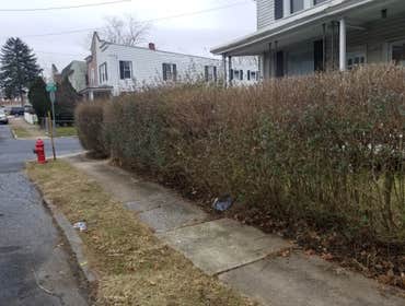 Photos by Barrick Landscaping LLC #1