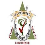 Evergreen Tree Service