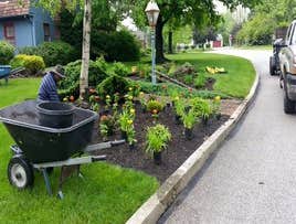 Photos by Amigos Lawn Care & Tree Services #3