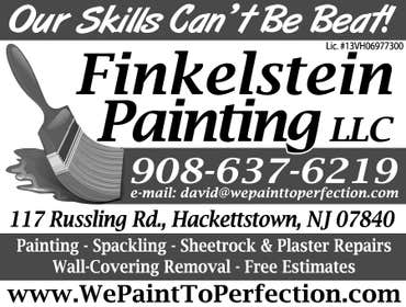 Project photos from Finkelstein Painting Llc