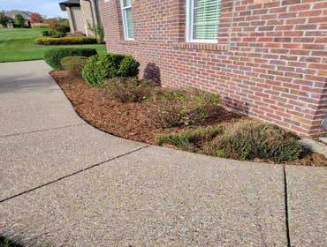 Photos by Alberto Alavez Professional Lawn Services LLC #4
