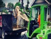 Photos by Arborsafe Tree Service #1