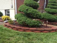 Photos from Lawngevity Landscape & Design LLC