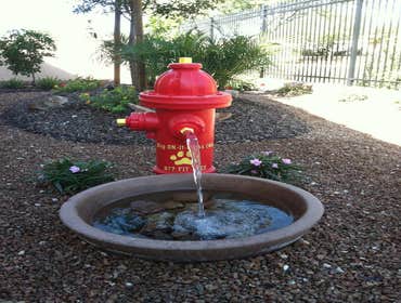 Water features