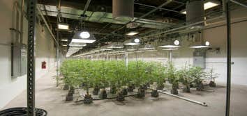 Grow Photos