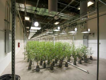 Grow Photos