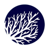 Coral Pool Company logo