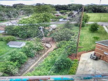 Fences