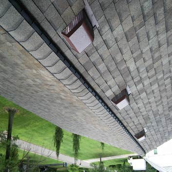 New roof w/ Ridge vents