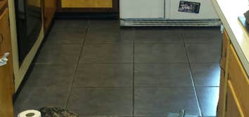 Ceramic Tile Install