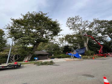Photos by California Green Tree Care #1