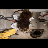 Photos by Athena Drains & Pipelining #1