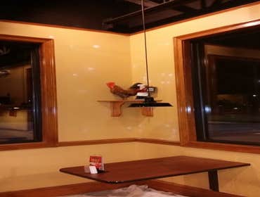 Photos by Dc Painters and More #1