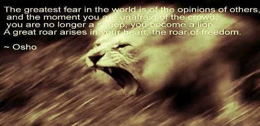 our roofing services roar!