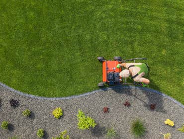 Photos by Lawn Care North Carolina #1