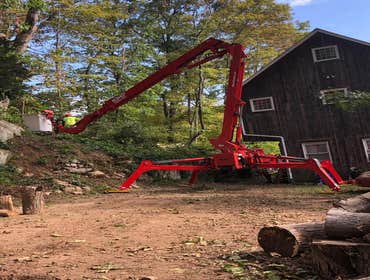Photos by ALX Tree Services LLC #1