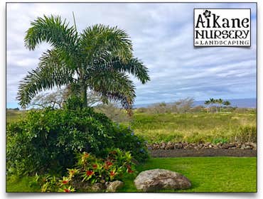 Aikane Landscaping & More