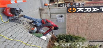New York Plantings Irrigation