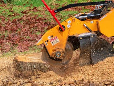 Photos by Superior Stump Grinding #1