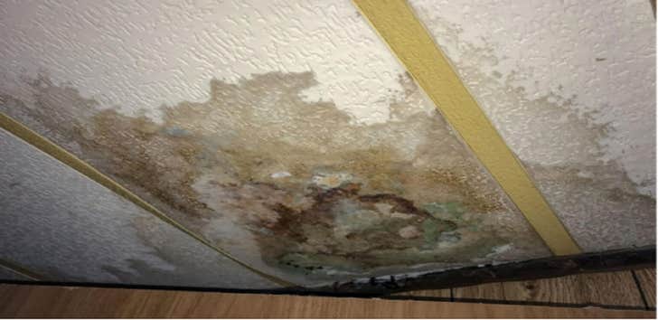 Derby City Water Damage Experts