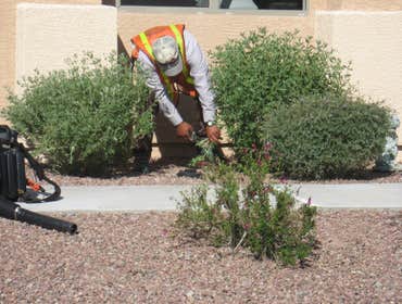 Photos by Complete Landscaping Inc #1