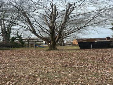 Photos by Beauty Meister Landscaping LLC #2