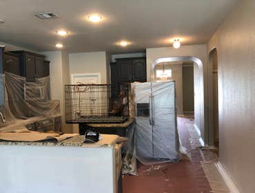 Photos by Dallas Paint Pro #1