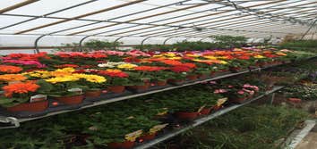 Photo(s) from Patriot Gardens Inc
